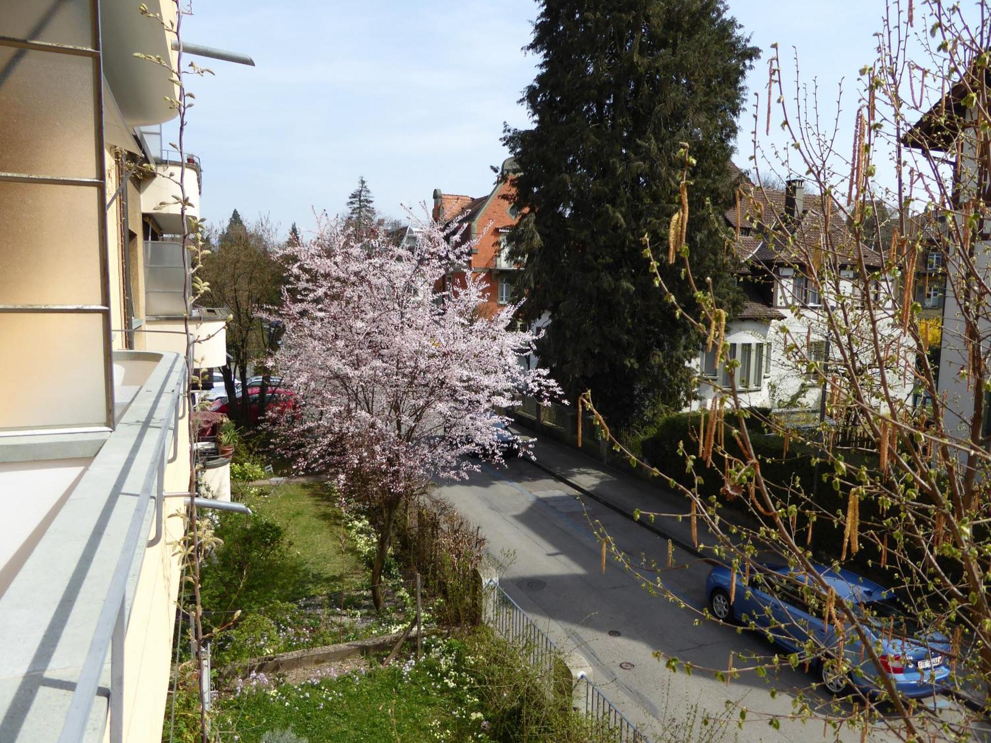 Maison Mosgenstein Bern Kültér fotó