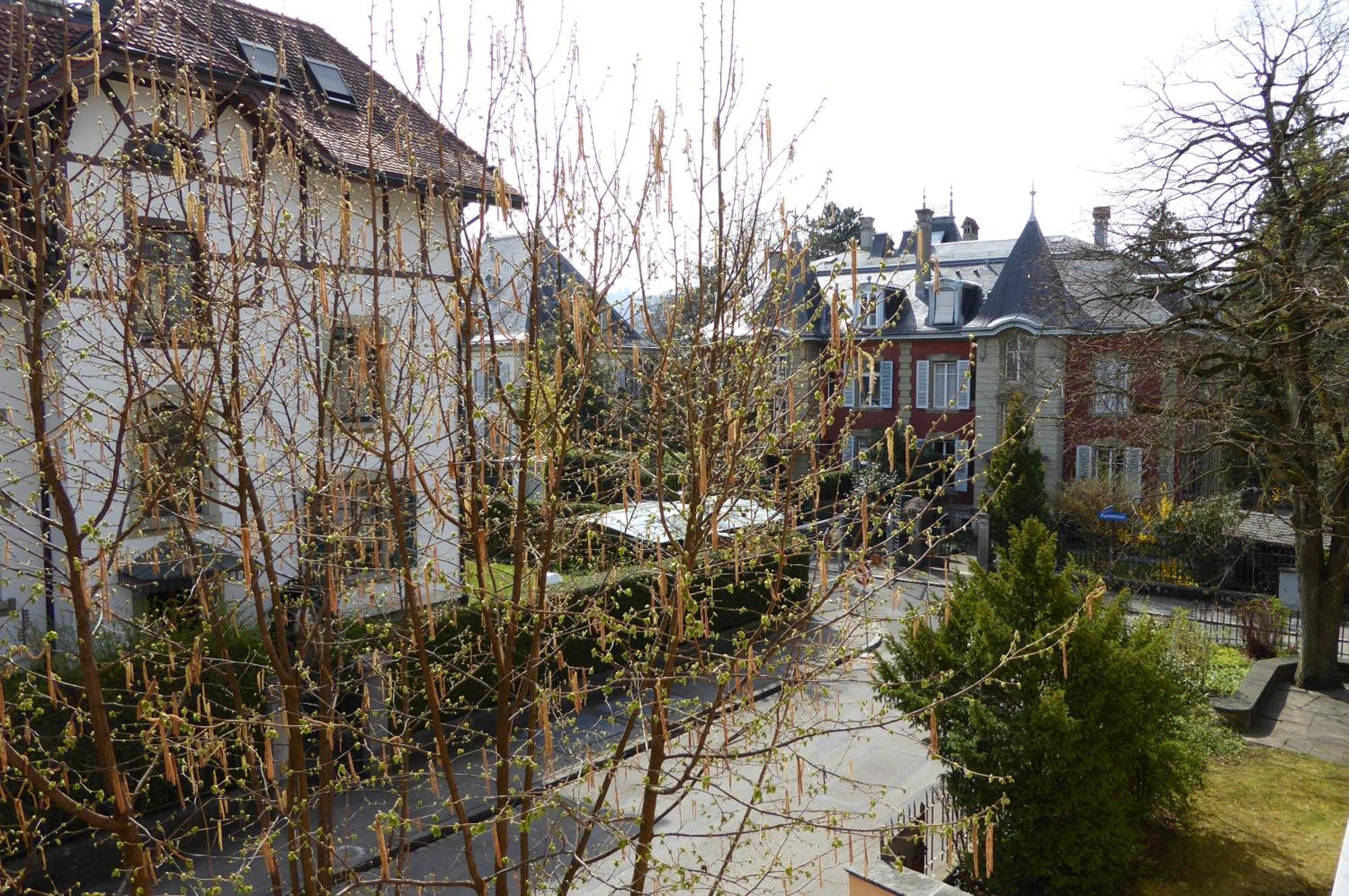 Maison Mosgenstein Bern Kültér fotó